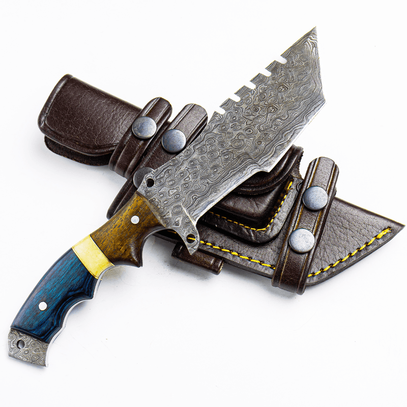 Damascus Steel Pakka Blue knife - Himalt