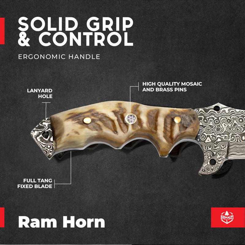 Damascus Steel Ram Horn - Himalt